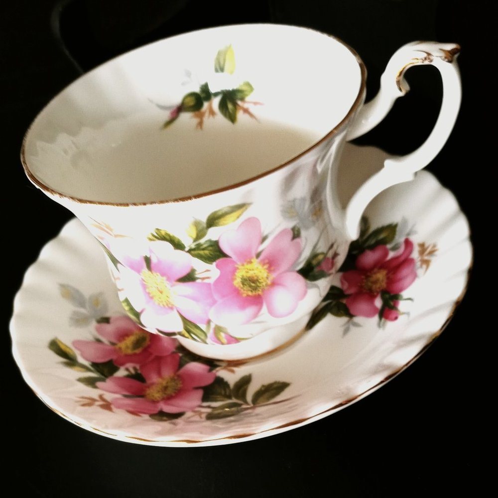 Royal Albert Bone China England Footed Tea Cup & Saucer Prairie Rose